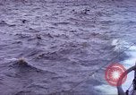 Image of USS Bluefish Pacific Ocean, 1945, second 13 stock footage video 65675059899
