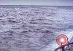 Image of USS Bluefish Pacific Ocean, 1945, second 18 stock footage video 65675059899