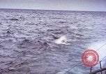 Image of USS Bluefish Pacific Ocean, 1945, second 20 stock footage video 65675059899
