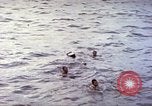 Image of USS Bluefish Pacific Ocean, 1945, second 55 stock footage video 65675059899