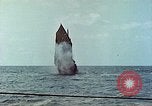 Image of USS Bluefish Pacific Ocean, 1945, second 29 stock footage video 65675059901