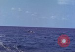 Image of USS Bluefish Pacific Ocean, 1945, second 50 stock footage video 65675059902
