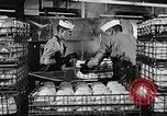 Standbild USA Segler United States USA, 1956, aus Sekunde 41 historischem Filmmaterial Videoclip 65675059914