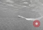 Image of Navy sailor standing watch United States USA, 1943, second 46 stock footage video 65675059921