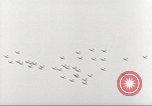 Standbild B-17 Flugzeuge europäische Theater, 1942, aus Sekunde 35 historischem Filmmaterial Videoclip 65675059938