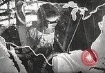 Standbild Harry Truman Washington DC USA, 1951, aus Sekunde 36 historischem Filmmaterial Videoclip 65675059942