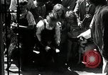 Standbild Elektrotherapie oder Strahlentherapie auf Hunde San Francisco California USA, 1930, aus Sekunde 7 historischem Filmmaterial Videoclip 65675059949
