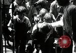 Standbild Elektrotherapie oder Strahlentherapie auf Hunde San Francisco California USA, 1930, aus Sekunde 8 historischem Filmmaterial Videoclip 65675059949