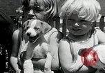 Standbild Elektrotherapie oder Strahlentherapie auf Hunde San Francisco California USA, 1930, aus Sekunde 19 historischem Filmmaterial Videoclip 65675059949