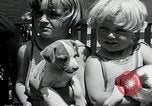 Standbild Elektrotherapie oder Strahlentherapie auf Hunde San Francisco California USA, 1930, aus Sekunde 20 historischem Filmmaterial Videoclip 65675059949
