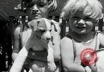 Standbild Elektrotherapie oder Strahlentherapie auf Hunde San Francisco California USA, 1930, aus Sekunde 21 historischem Filmmaterial Videoclip 65675059949