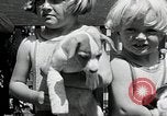 Standbild Elektrotherapie oder Strahlentherapie auf Hunde San Francisco California USA, 1930, aus Sekunde 22 historischem Filmmaterial Videoclip 65675059949