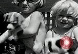 Standbild Elektrotherapie oder Strahlentherapie auf Hunde San Francisco California USA, 1930, aus Sekunde 24 historischem Filmmaterial Videoclip 65675059949
