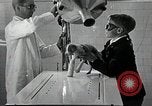 Standbild Elektrotherapie oder Strahlentherapie auf Hunde San Francisco California USA, 1930, aus Sekunde 26 historischem Filmmaterial Videoclip 65675059949