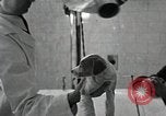 Standbild Elektrotherapie oder Strahlentherapie auf Hunde San Francisco California USA, 1930, aus Sekunde 30 historischem Filmmaterial Videoclip 65675059949