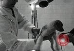 Standbild Elektrotherapie oder Strahlentherapie auf Hunde San Francisco California USA, 1930, aus Sekunde 33 historischem Filmmaterial Videoclip 65675059949