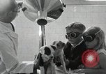 Standbild Elektrotherapie oder Strahlentherapie auf Hunde San Francisco California USA, 1930, aus Sekunde 36 historischem Filmmaterial Videoclip 65675059949