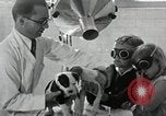 Standbild Elektrotherapie oder Strahlentherapie auf Hunde San Francisco California USA, 1930, aus Sekunde 39 historischem Filmmaterial Videoclip 65675059949