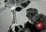 Standbild Elektrotherapie oder Strahlentherapie auf Hunde San Francisco California USA, 1930, aus Sekunde 43 historischem Filmmaterial Videoclip 65675059949