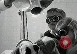 Standbild Elektrotherapie oder Strahlentherapie auf Hunde San Francisco California USA, 1930, aus Sekunde 44 historischem Filmmaterial Videoclip 65675059949