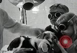 Standbild Elektrotherapie oder Strahlentherapie auf Hunde San Francisco California USA, 1930, aus Sekunde 45 historischem Filmmaterial Videoclip 65675059949