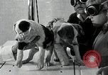 Standbild Elektrotherapie oder Strahlentherapie auf Hunde San Francisco California USA, 1930, aus Sekunde 49 historischem Filmmaterial Videoclip 65675059949
