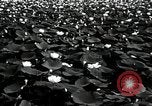 Standbild Lotus Blumen Grass Lakes Illinois USA, 1930, aus Sekunde 8 historischem Filmmaterial Videoclip 65675059950