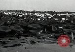 Standbild Lotus Blumen Grass Lakes Illinois USA, 1930, aus Sekunde 15 historischem Filmmaterial Videoclip 65675059950