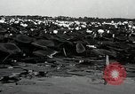 Standbild Lotus Blumen Grass Lakes Illinois USA, 1930, aus Sekunde 16 historischem Filmmaterial Videoclip 65675059950