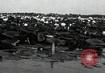 Standbild Lotus Blumen Grass Lakes Illinois USA, 1930, aus Sekunde 18 historischem Filmmaterial Videoclip 65675059950