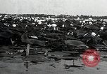 Standbild Lotus Blumen Grass Lakes Illinois USA, 1930, aus Sekunde 20 historischem Filmmaterial Videoclip 65675059950