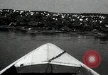 Standbild Lotus Blumen Grass Lakes Illinois USA, 1930, aus Sekunde 22 historischem Filmmaterial Videoclip 65675059950