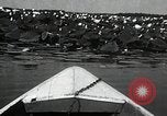 Standbild Lotus Blumen Grass Lakes Illinois USA, 1930, aus Sekunde 25 historischem Filmmaterial Videoclip 65675059950