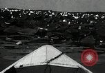 Standbild Lotus Blumen Grass Lakes Illinois USA, 1930, aus Sekunde 27 historischem Filmmaterial Videoclip 65675059950