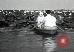 Standbild Lotus Blumen Grass Lakes Illinois USA, 1930, aus Sekunde 30 historischem Filmmaterial Videoclip 65675059950