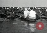 Standbild Lotus Blumen Grass Lakes Illinois USA, 1930, aus Sekunde 31 historischem Filmmaterial Videoclip 65675059950