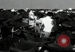 Standbild Lotus Blumen Grass Lakes Illinois USA, 1930, aus Sekunde 40 historischem Filmmaterial Videoclip 65675059950