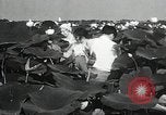 Standbild Lotus Blumen Grass Lakes Illinois USA, 1930, aus Sekunde 42 historischem Filmmaterial Videoclip 65675059950