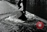 Immagine di Logrolling Longview Washington USA, 1930, secondo 10 filmato di repertorio 65675059954