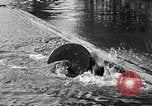 Immagine di Logrolling Longview Washington USA, 1930, secondo 12 filmato di repertorio 65675059954