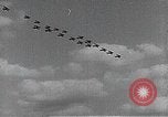 Standbild national Air Races Cleveland Ohio USA, 1931, aus Sekunde 22 historischem Filmmaterial Videoclip 65675059958