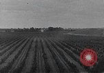 Standbild PT-3 Flugzeuge Fresno California USA, 1931, aus Sekunde 40 historischem Filmmaterial Videoclip 65675059961