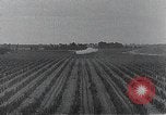 Standbild PT-3 Flugzeuge Fresno California USA, 1931, aus Sekunde 42 historischem Filmmaterial Videoclip 65675059961