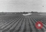 Standbild PT-3 Flugzeuge Fresno California USA, 1931, aus Sekunde 43 historischem Filmmaterial Videoclip 65675059961