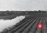 Standbild PT-3 Flugzeuge Fresno California USA, 1931, aus Sekunde 51 historischem Filmmaterial Videoclip 65675059961