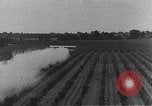 Standbild PT-3 Flugzeuge Fresno California USA, 1931, aus Sekunde 52 historischem Filmmaterial Videoclip 65675059961