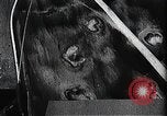 Image of Attempt to set new airborne endurance record Northbrook Illinois United States USA, 1930, second 34 stock footage video 65675059964