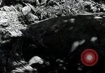 Standbild B-29 Superfortress bomber Flugzeug Utah Dugway Proving Ground USA, 1945, aus Sekunde 49 historischem Filmmaterial Videoclip 65675059993