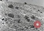 Image B-25H plans Mitchell Utah Dugway Proving Ground USA, 1945, de la seconde 27 séquences d'archives historiques vidéo 65675059994