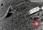 Image P-38 Plan de foudre Utah Dugway Proving Ground USA, 1945, de la seconde 56 séquences d'archives historiques vidéo 65675059995